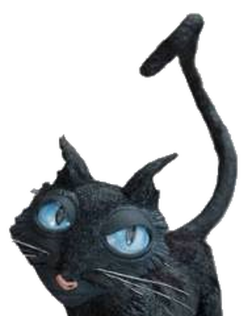 Coraline Cat Png