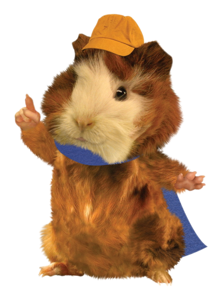 Linny The Guinea Pig Heroes Wiki Fandom