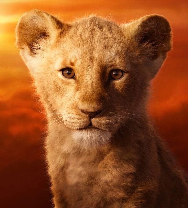 Simba 2019 Heroes Wiki Fandom