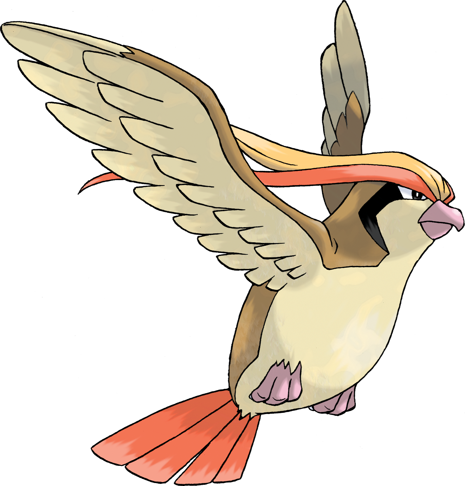 018Pidgeot