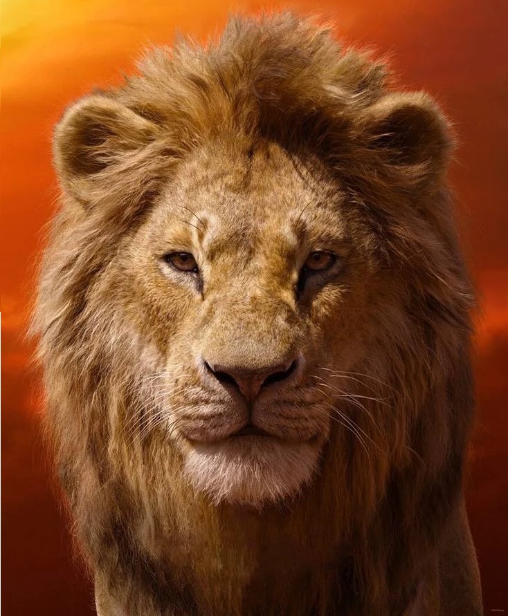 Simba 2019 Heroes Wiki Fandom