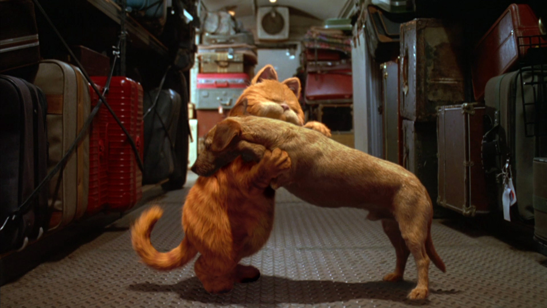 Image - Garfield reuniting with Odie.jpg | Heroes Wiki | FANDOM powered