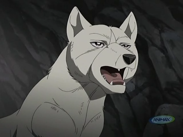 Get Wallpaper Akame Ginga Nagareboshi Gin Heroes Wiki Fandom HD