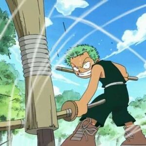 Roronoa Zoro Gallery Heroes Wiki Fandom