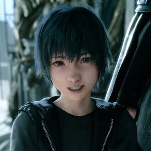 Noctis Lucis Caelum Heroes Wiki Fandom