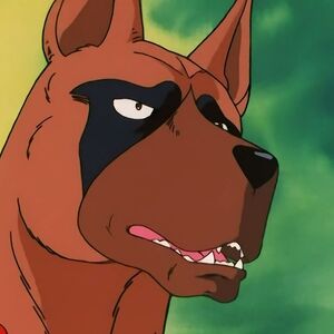 Get Wallpaper Ben Ginga Nagareboshi Gin Heroes Wiki Fandom For iPhone
