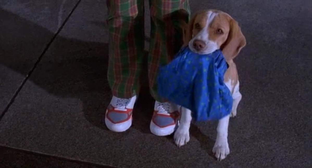 Image Inspector Gadget's pet dog Brain showing the police Dr. Claw's