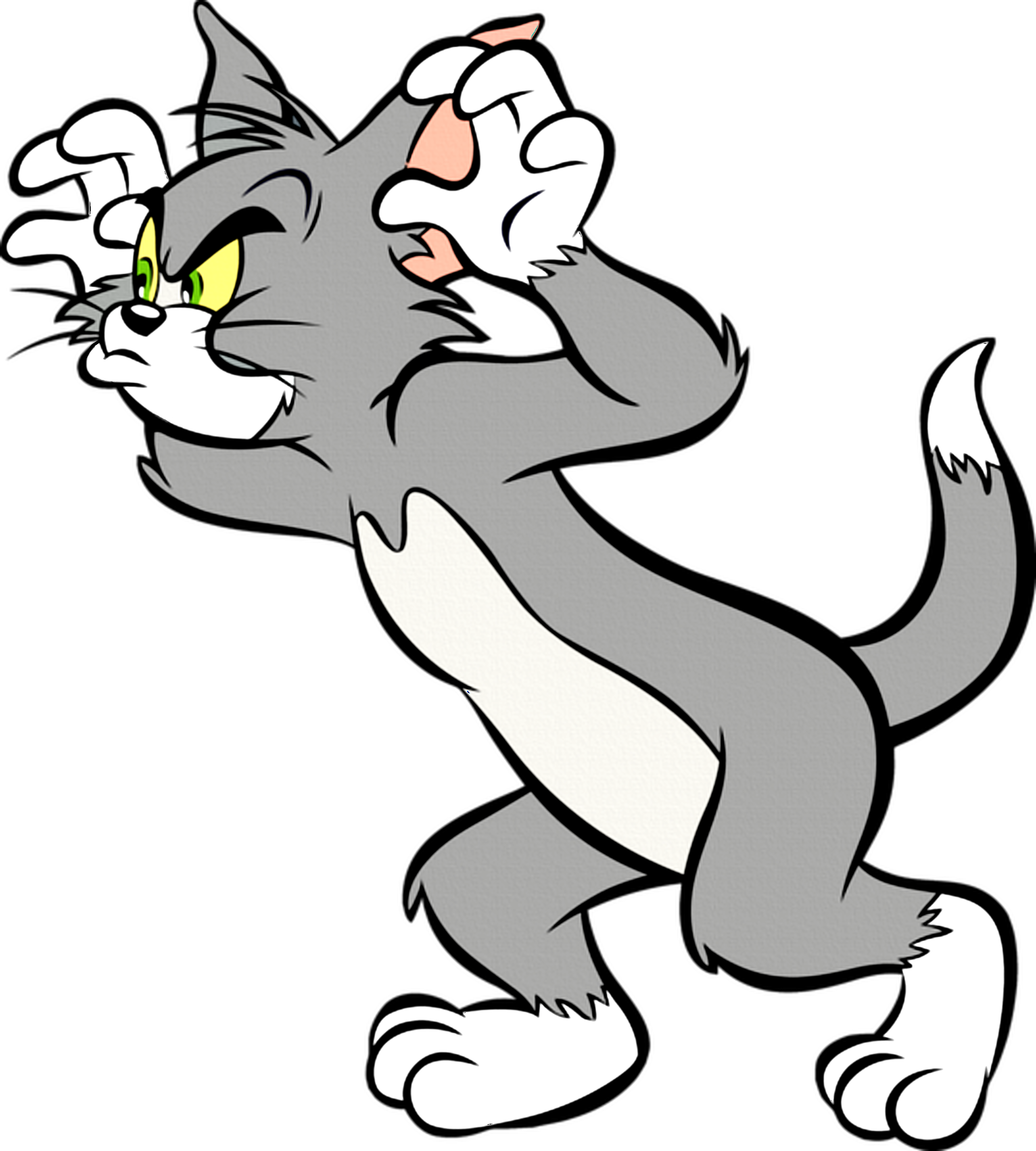 Tom Cat Heroes Wiki Fandom
