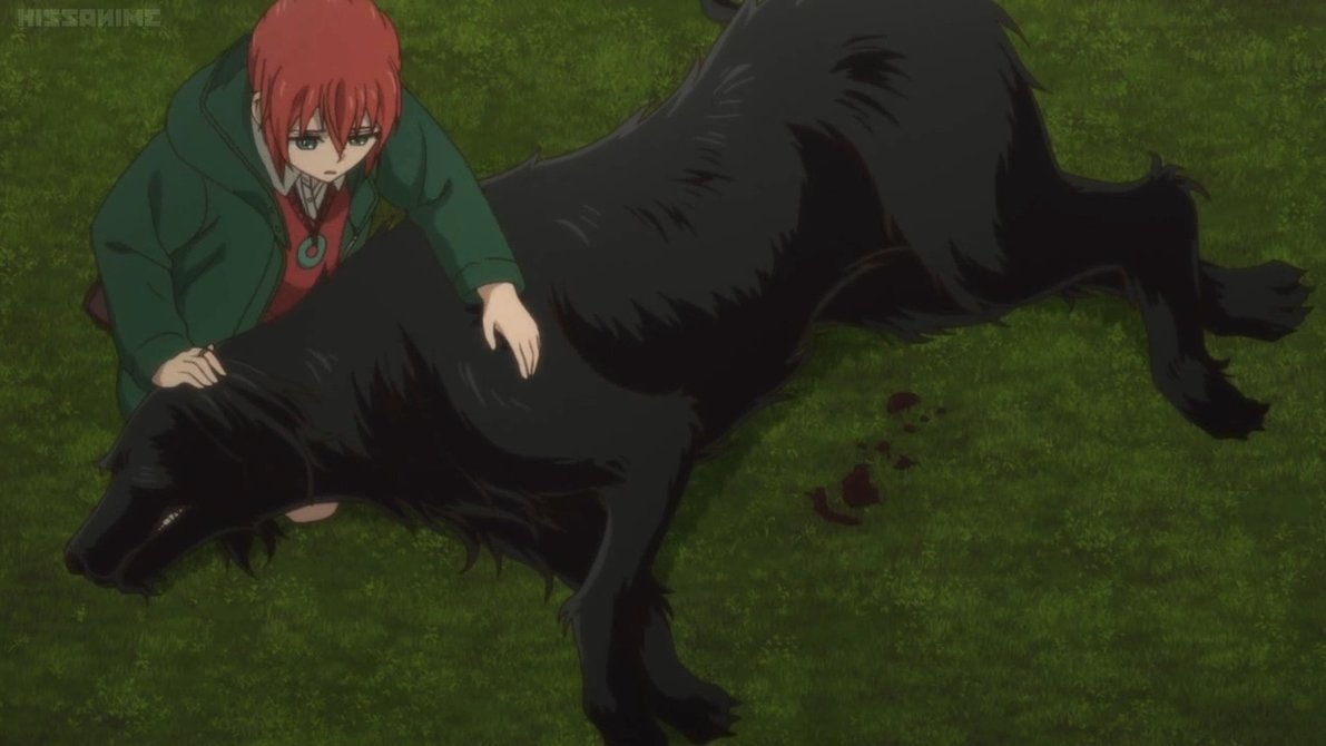 Ruth The Ancient Magus Bride Heroes Wiki Fandom