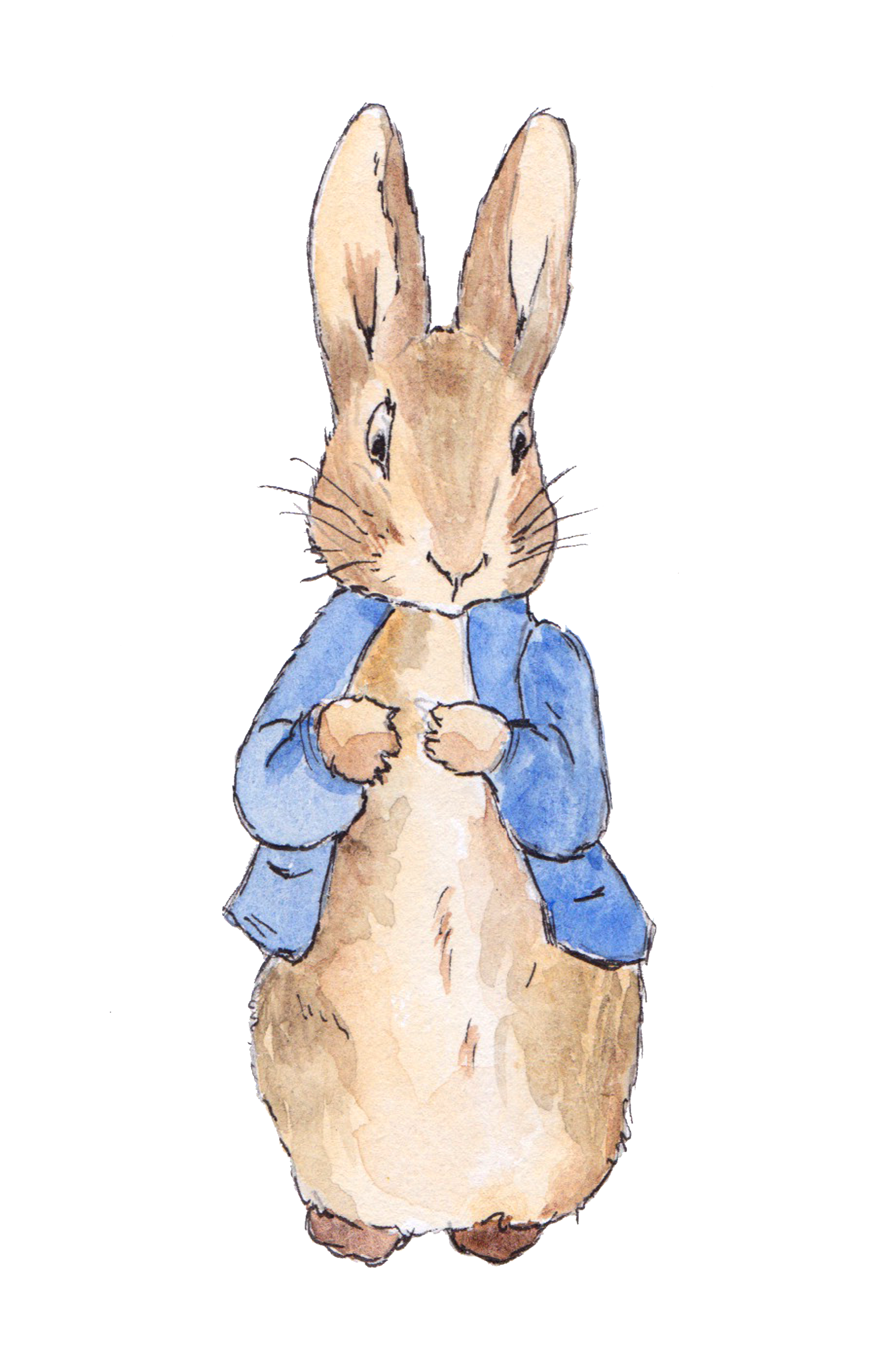 Peter Rabbit | Heroes Wiki | FANDOM powered by Wikia