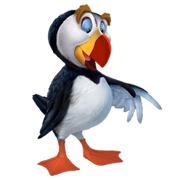 Puffin