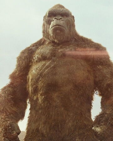 King Kong Monsterverse Heroes Wiki Fandom