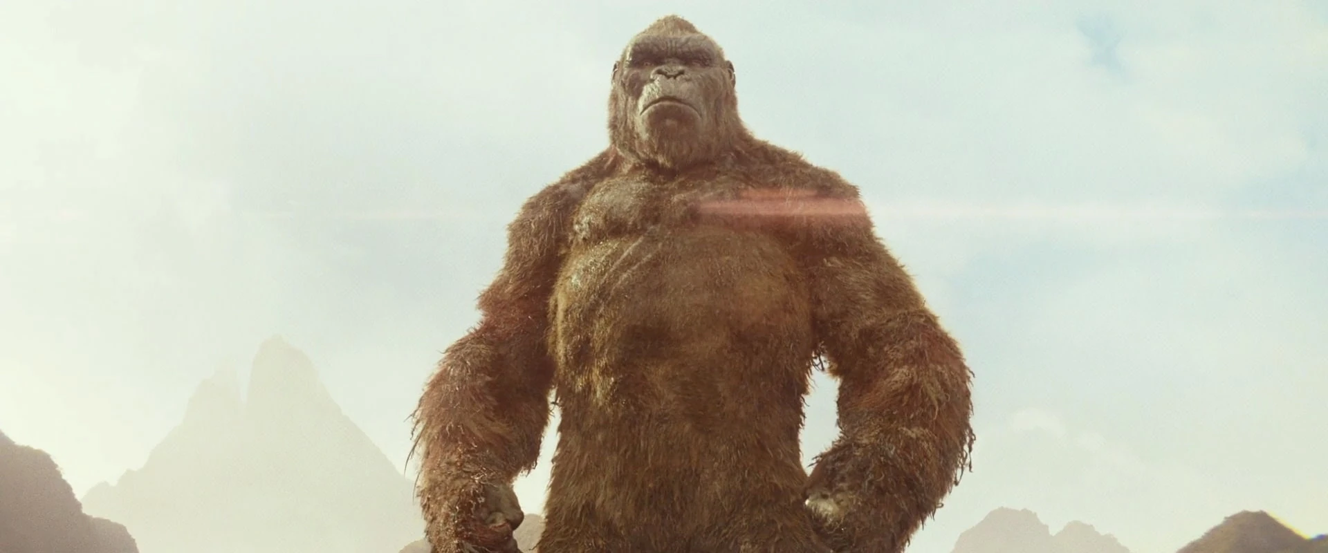 King Kong (MonsterVerse) Heroes Wiki FANDOM powered by Wikia