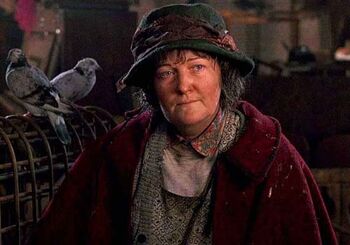 View Pigeon Lady Home Alone 2 Costume PNG
