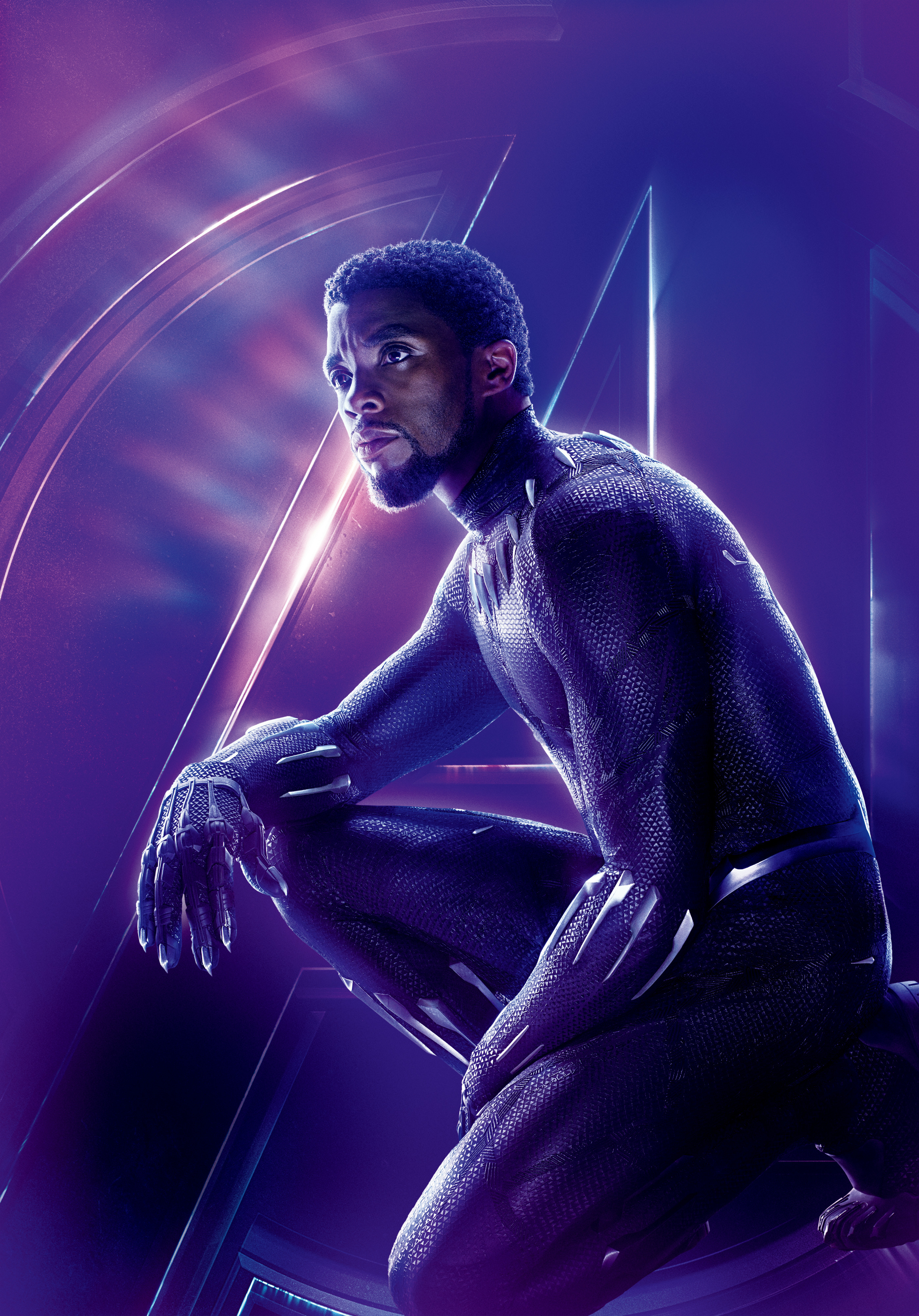 Black Panther (Marvel Cinematic Universe) | Heroes Wiki | Fandom