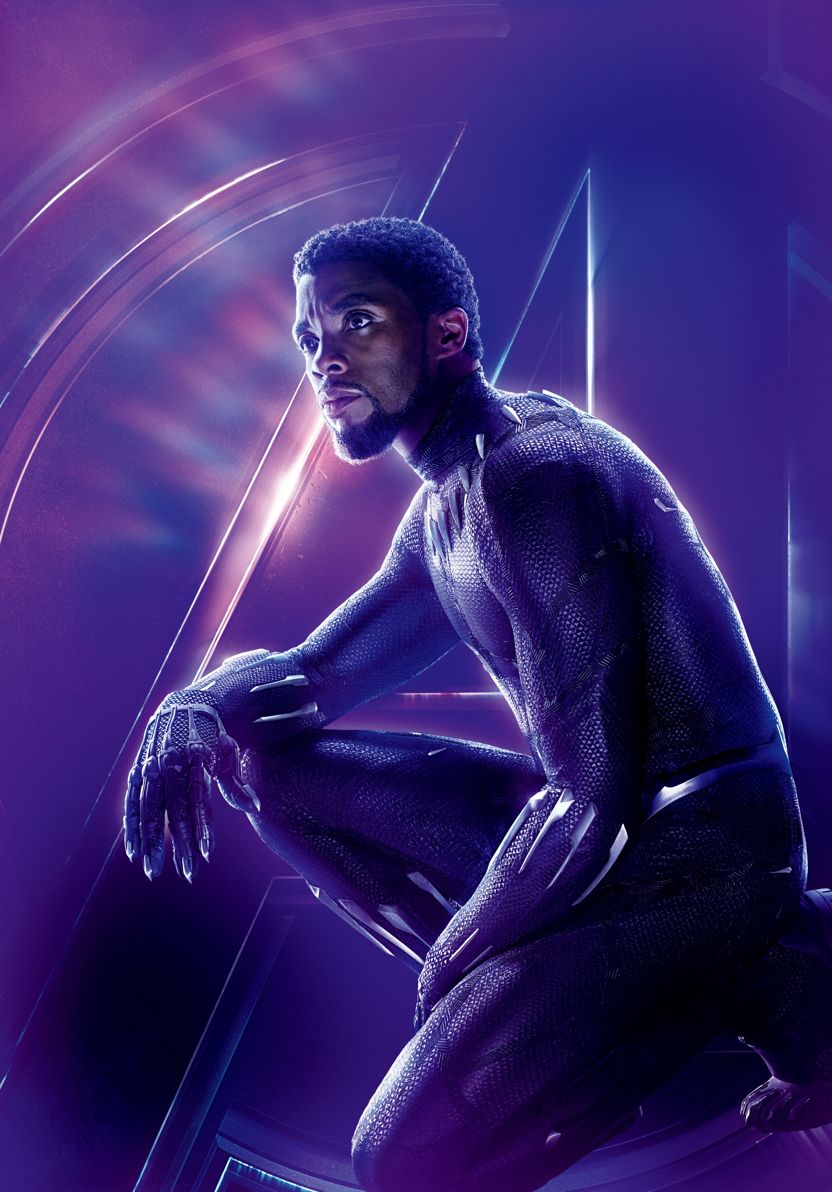 Black Panther (Marvel Cinematic Universe) | Heroes Wiki | FANDOM