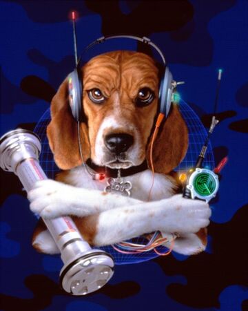 Lou Cats Dogs Heroes Wiki Fandom