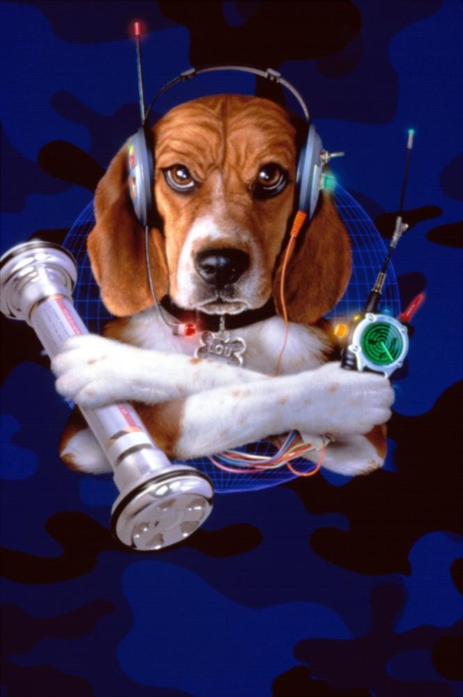 Lou Cats Amp Dogs Heroes Wiki Fandom Powered By Wikia