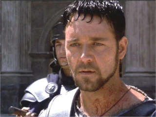Image result for maximus decimus meridius