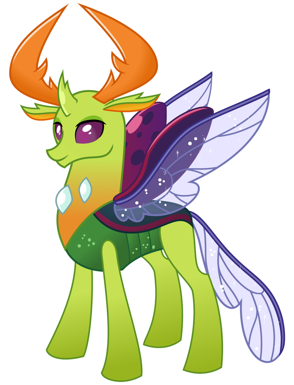 Image result for Thorax mlp"