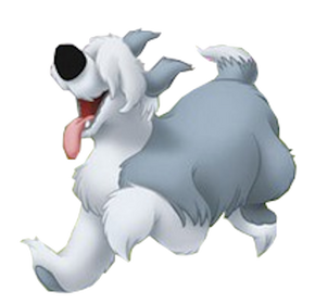 Max TLM