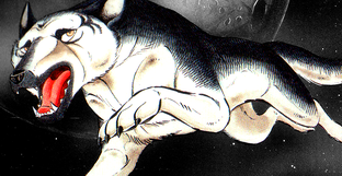 John Ginga Nagareboshi Gin Heroes Wiki Fandom John Ginga Nagareboshi Gin Heroes Wiki Fandom