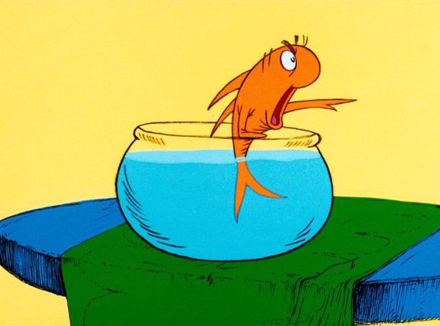 The Fish The Cat In The Hat Heroes Wiki Fandom