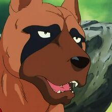 Ben Ginga Nagareboshi Gin Heroes Wiki Fandom Ben Ginga Nagareboshi Gin Heroes Wiki Fandom