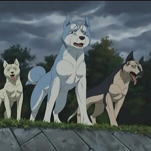 Get Wallpaper John Ginga Nagareboshi Gin Heroes Wiki Fandom For Android Free