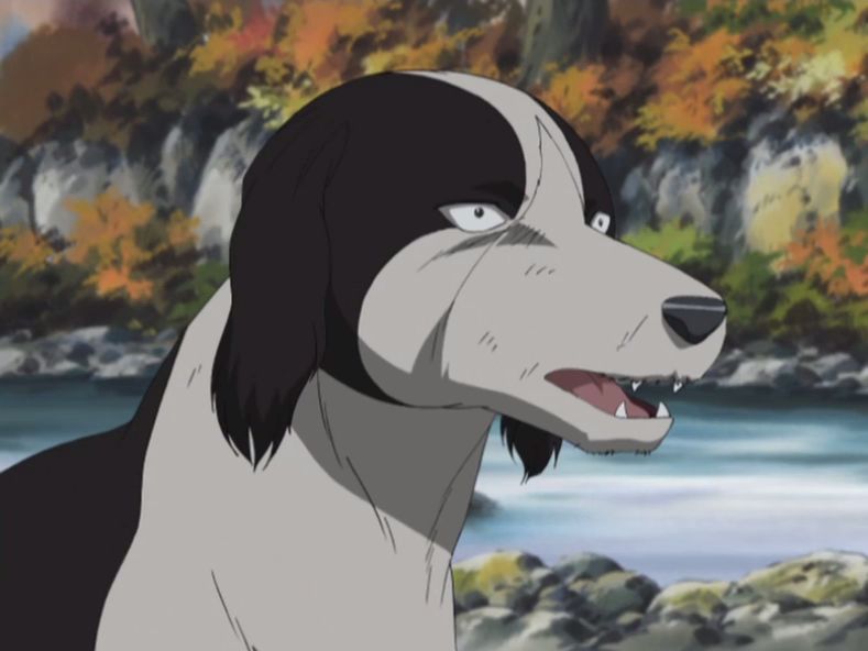 Get Wallpaper Smith Ginga Nagareboshi Gin Heroes Wiki Fandom Desktop Wallpaper