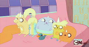 Rainicorn puppies