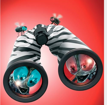 Buzz & Scuzz poster