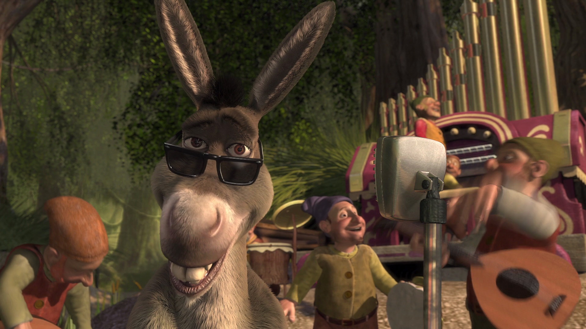 donkey sunglasses