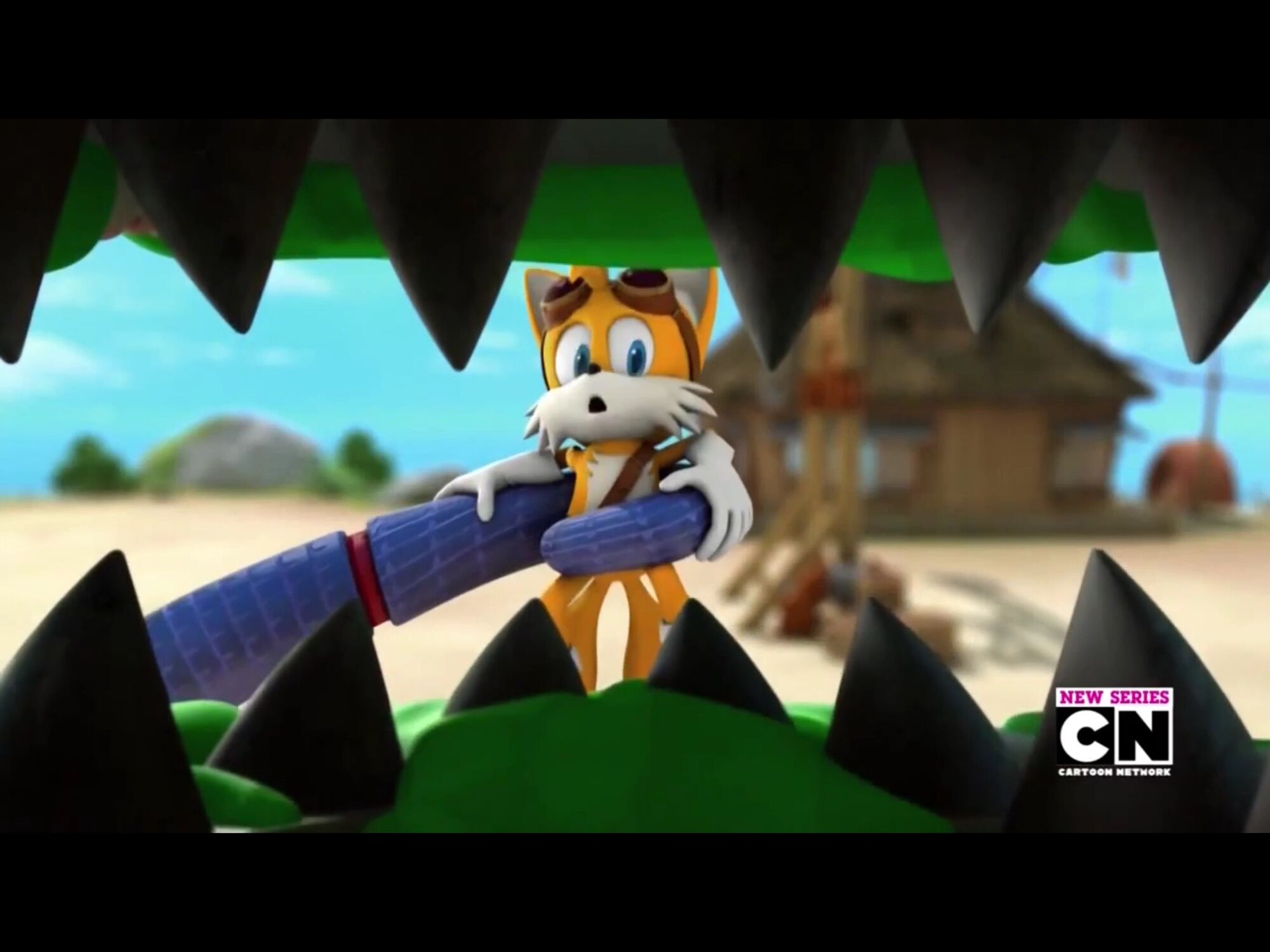 Tails Age: The Complete Guide For Beginners - ujpg2ly