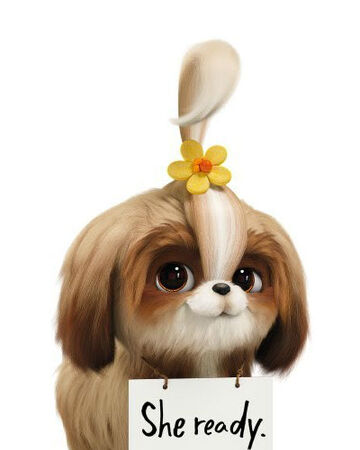 Daisy The Secret Life Of Pets Heroes Wiki Fandom