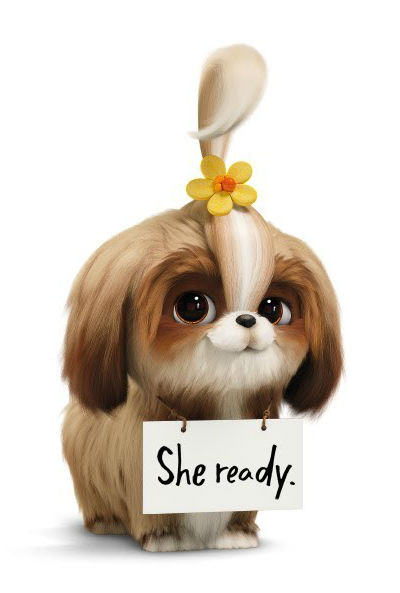 Daisy The Secret Life Of Pets Heroes Wiki Fandom