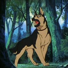 John Ginga Nagareboshi Gin Heroes Wiki Fandom John Ginga Nagareboshi Gin Heroes Wiki Fandom