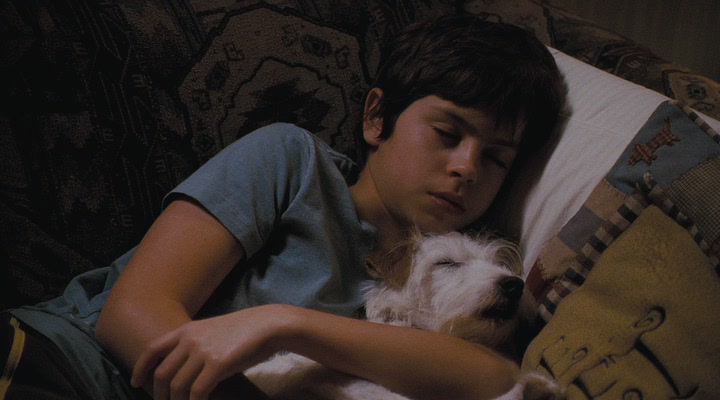 Bruce Hotel For Dogs Heroes Wiki Fandom Powered By Wikia