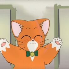 Get Wallpaper Mikan Enikki Pachirapong Wiki Fandom For iPhone Free