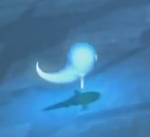 Ice
