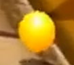 Screenshot (192)