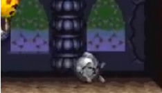 Cuttknightpac