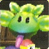 PookaPlant