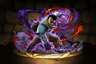Pet2852