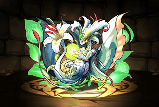 Pet1168