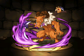 Pet1316