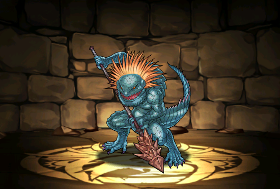 Pet844
