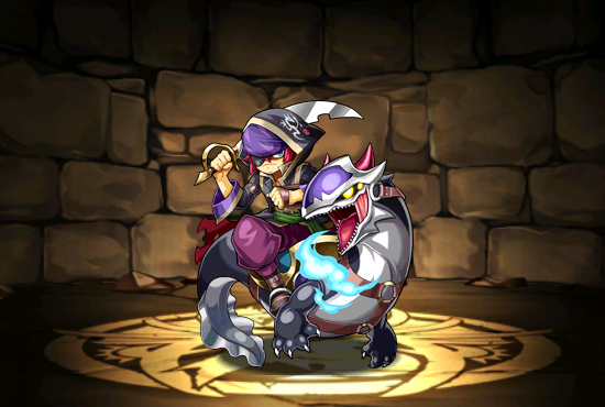 Pet1008