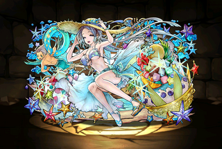 Pet3113