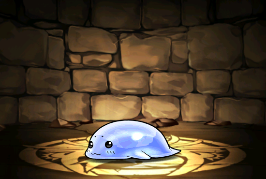 Pet504